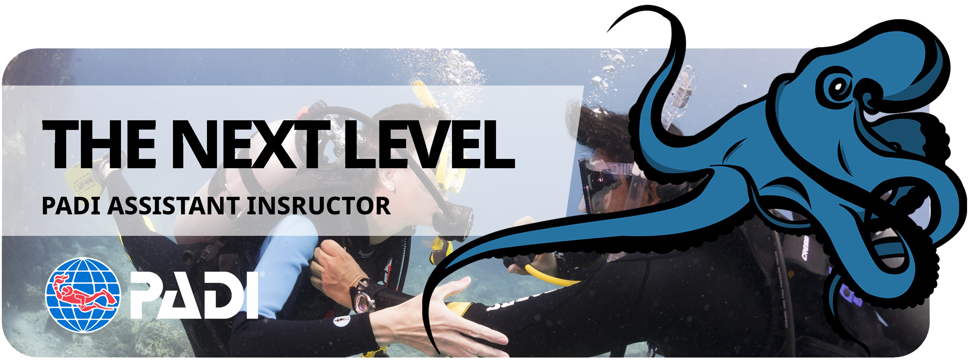 PADI Assistant Instructor banner
