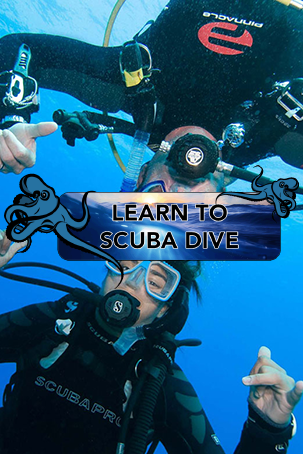 Learn to SCUBA dive with Aquatic Adventures
