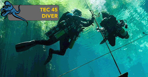 Tec 45 divers along a vertical reference line
